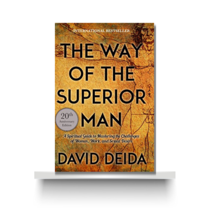 THE WAY OF THE SUPERIOR MAN by DAVID DEIDA